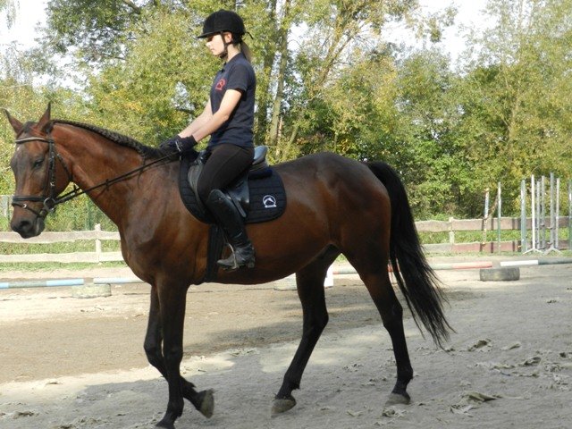 Babie Lato 2016